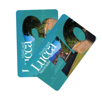 City Card CulturaTela